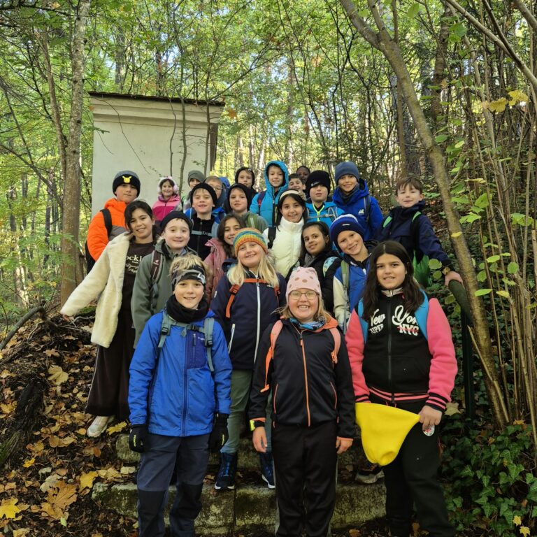 Unterwegs mit der Försterin – die Klasse 3c erkundet den Wald